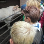 Dierenuitje