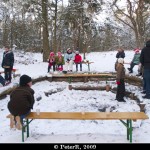 dsv_8584-border