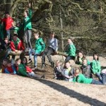 Duinen