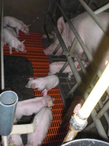 tn_09-10-24-001-27 tn_09-10-24-001-27