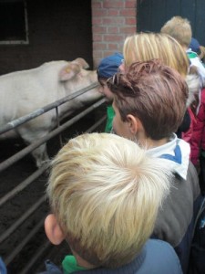 tn_09-10-24-001-3 tn_09-10-24-001-3