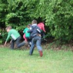 tn_img_3406 tn_img_3406