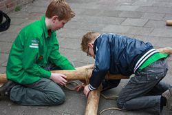 tn_img_3609 tn_img_3609